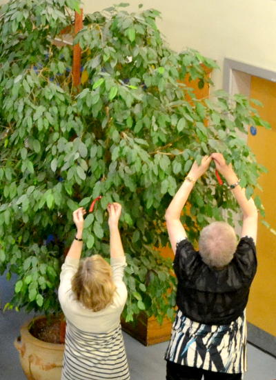 Tying coloured ribbons to a giant indoor plant