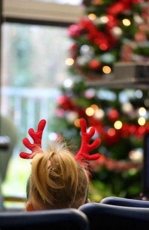 Antlers and a Christmas tree