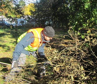 Packing deadwood to form a hedge