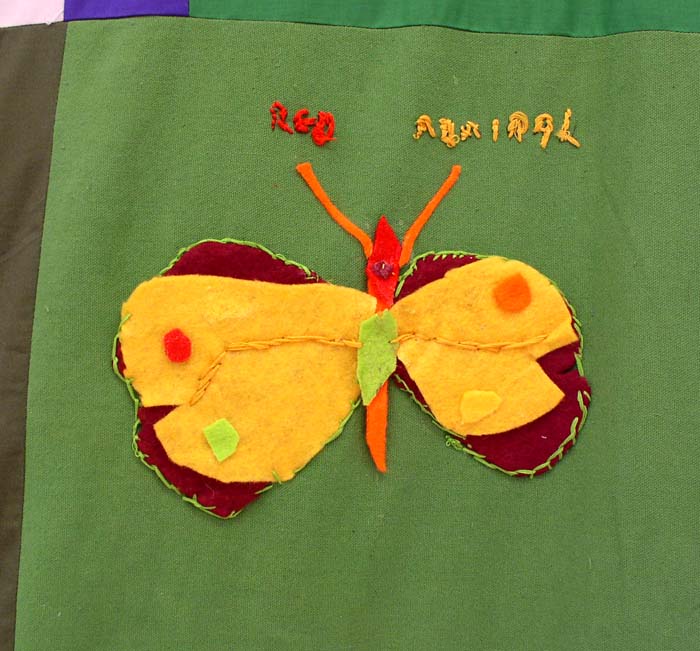 Picture of a butterfly