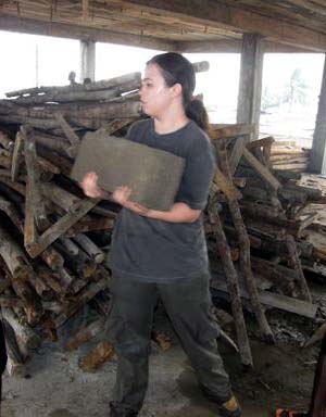 Carrying a giant brick